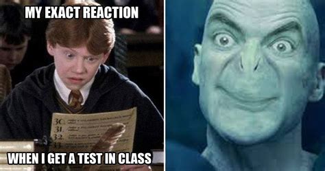 20 Funny Harry Potter Memes You Must See