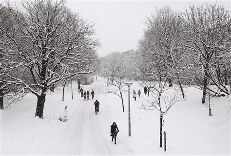 Vondelpark | Winter 2004-2005 | Eric Böhm | Flickr