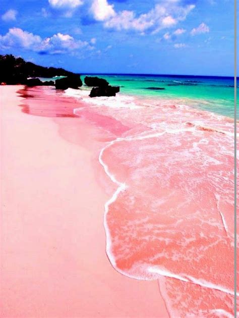 Pink sand beach Bahamas http://www.travelchannel.com/interests/beaches ...