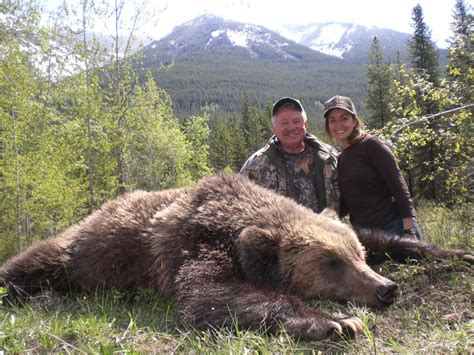 The Differences between Brown Bears & Grizzly Bears – Total Outdoor ...