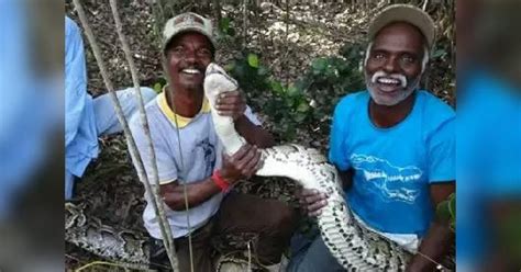 Prestigious milestone: Meet two Irula snake catchers in TN who are conferred with Padma Awards ...