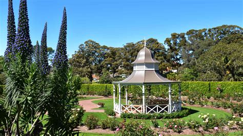 Wollongong Botanic Garden - Concrete Playground