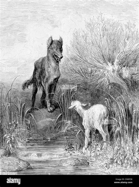 The wolf and the lamb, La Fontaine's Fable, illustration by Gustave ...