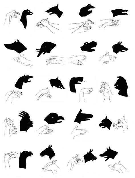 30 best Hand shadows images on Pinterest | Hand shadows, Shadow art and ...