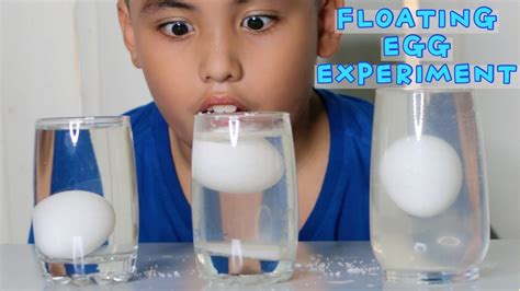 FLOATING EGG EXPERIMENT FOR KIDS | SALT WATER EGG EXPERIMENT | WATER DENSITY SCIENCE EXPERIMENT ...