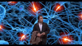 Confused Travolta GIF - Find & Share on GIPHY