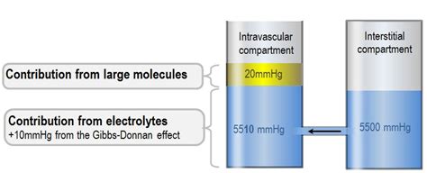 Osmotic pressure and oncotic pressure | Deranged Physiology