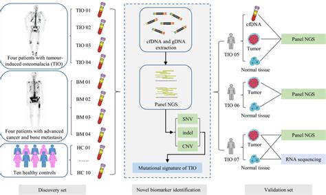 The workflow of the searching biomarker in cfDNA of TIO patients. Blood ...