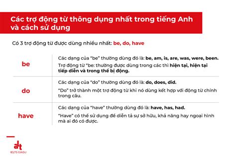 Tổng Hợp Kiến Thức Về Trợ Động Từ Trong Tiếng Anh | Kênh Sinh Viên