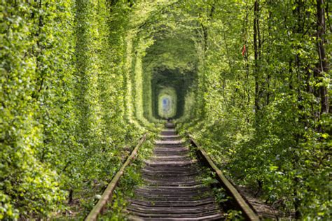 The Tunnel Of Love is a Real Place – and It’s Not In Paris! - Traveler Master