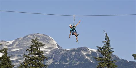 Zipline Tours in Whistler | Tourism Whistler