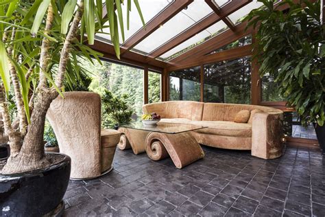 Enhancing Your Conservatory with Plants