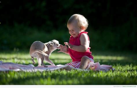 Baby Playing With Puppy - DesiComments.com