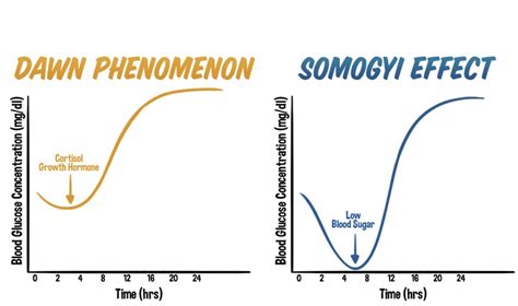 Unveiling the Differences: The Dawn Phenomenon vs. The Somogyi Effect ...