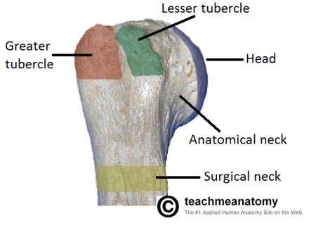 Common conservatively managed fractures? - EMCAGE