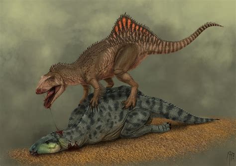 Concavenator Pictures & Facts - The Dinosaur Database