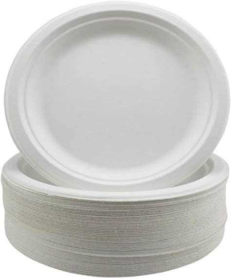 Super Rigid Bagasse Plates Biodegradable and Disposable - Eco-Friendly Non Plastic Alternative ...