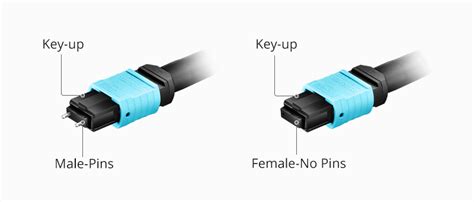 What is an MTP®/MPO Fiber Connector and How Does It Work? | FS Community