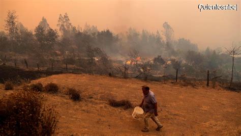 Incendios forestales en Chile 2023, ¿por qué ocurren?