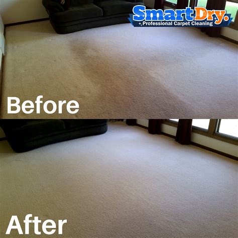 🥇Green Carpet Cleaning San Diego, Eco-Friendly Non-Toxic | 🥇Smart Dry ...