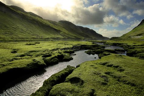 Spring in the Scottish Highlands - Matt Tilghman Photography