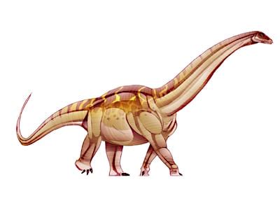 Titanosaurus - DinoPit