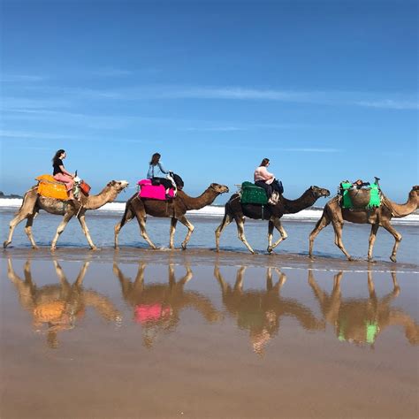 Camel Ride in Agadir - Agadir activities