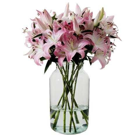 FLOWERBX - Sorbonne Pink Long-Stem Deluxe Lilies | Story + Rain