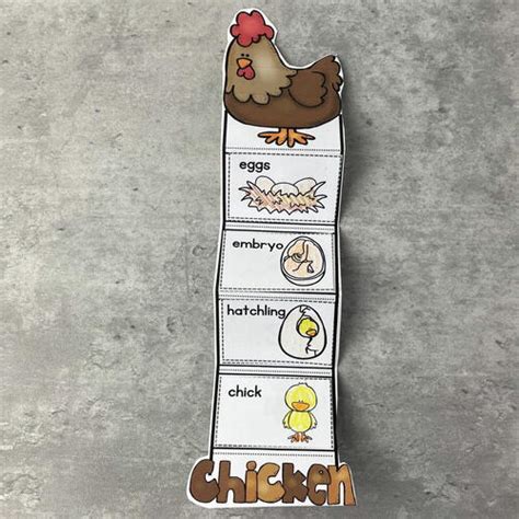 Chicken Life Cycle Craft | AllFreeKidsCrafts.com