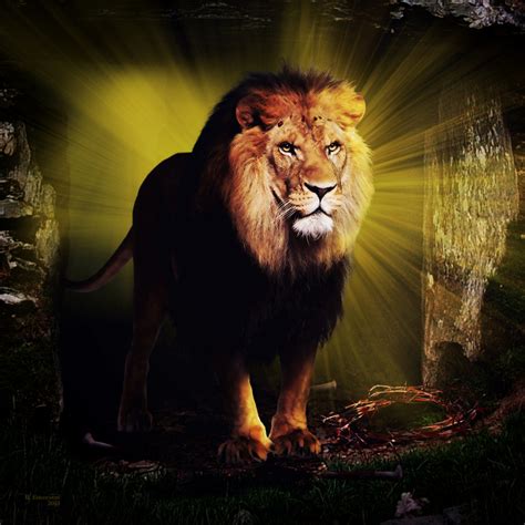🔥 [74+] Lion Of Judah Wallpapers | WallpaperSafari