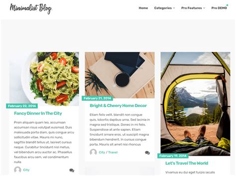 Best Minimalist WordPress Themes for Bloggers (2021)