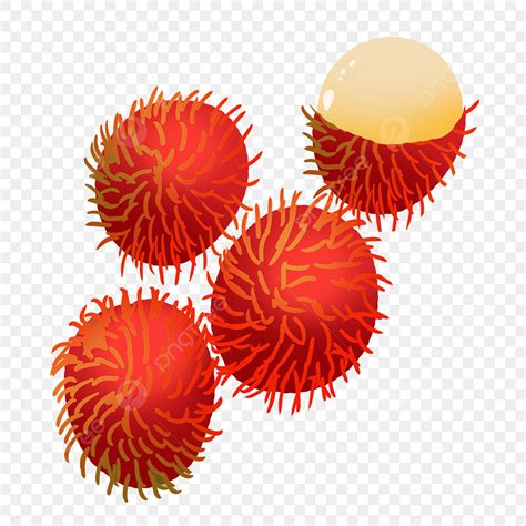 Gambar Buah Rambutan – pulp