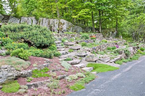 13 Hillside Landscaping Ideas to Maximize Your Yard