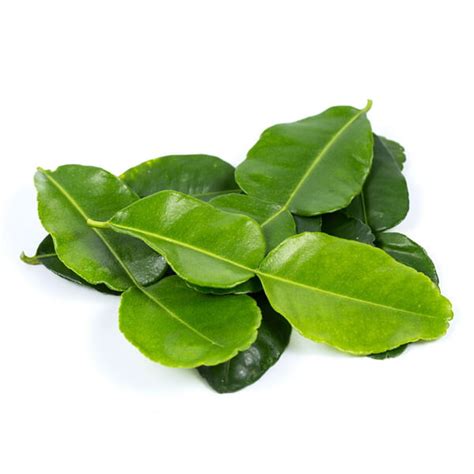 Kaffir Lime Leaves / Daun Limau Purut – Chin Woh – Vegetables & Fruits ...