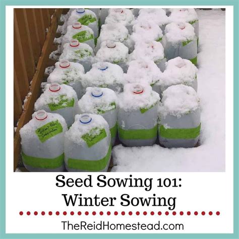 Seed Starting 101: A Guide to Winter Sowing in Milk Jugs | Whimsical garden art, Fun garden art ...