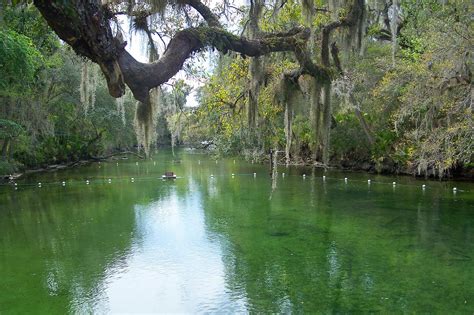 Blue Spring State Park - Florida State Park Near Orlando - Go Guides