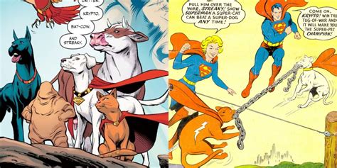 The 10 Best Legion Of Super-Pets Storylines From The Comics