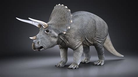 Triceratops dinosaur 3D model | CGTrader