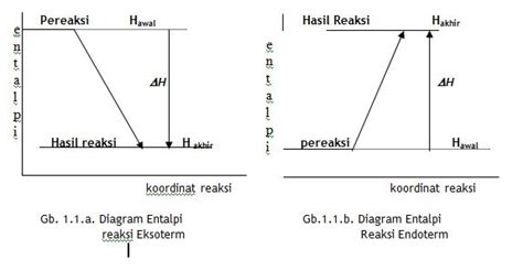 Reaksi Eksoterm Dan Endoterm - UtakAtikOtak.com