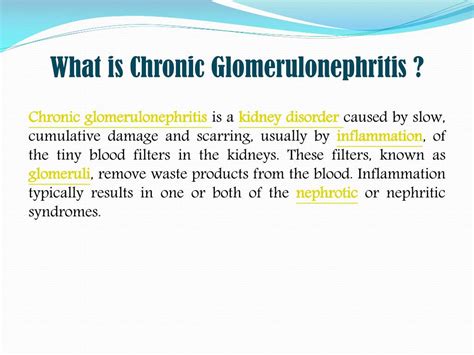 PPT - Chronic Glomerulonephritis: Symptoms, Causes and Treatment. PowerPoint Presentation - ID ...