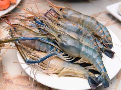 Buy Large Golda Chingri/Prawn - Online Fish&Meat Store Of Kolkata