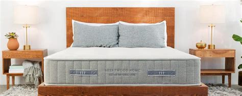 11 Organic Latex Mattress Brands That Promise You Sweet Dreams