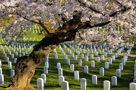 Arlington National Cemetery: What to See and Do