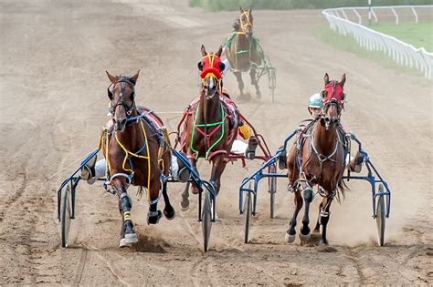 Harness racing could return here next year - TimesChronicle.ca