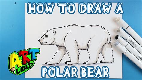 Drawing A Polar Bear