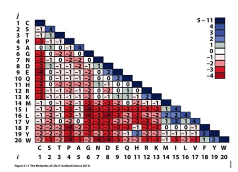 Solved 2. Based on the Blosum matrix how much more likely | Chegg.com