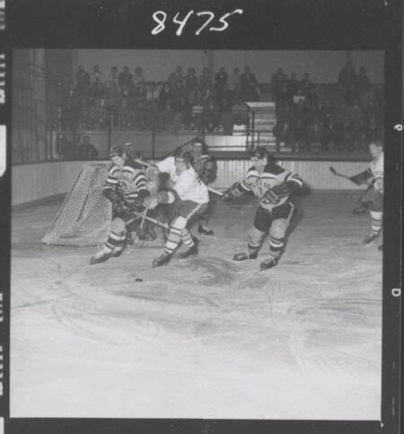 Denver Pioneers – College Hockey History