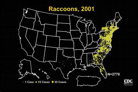 Figure: Reported Cases of Raccoon Rabies, 2001, http://www.cdc.gov ...