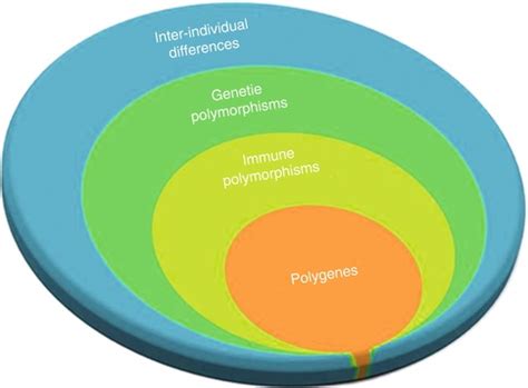 Immunogenetics of Cancer | Oncohema Key