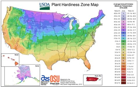 How to understand USDA hardiness zones - Farm and Dairy